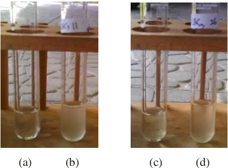 Gambar 2. Uji pertumbuhan bakteri pada NaCl 3% (kiri) dan NaCl 6,5% (kanan). (a & c) sebagai kontrol, (b & d) sampel (reaksi positif) 