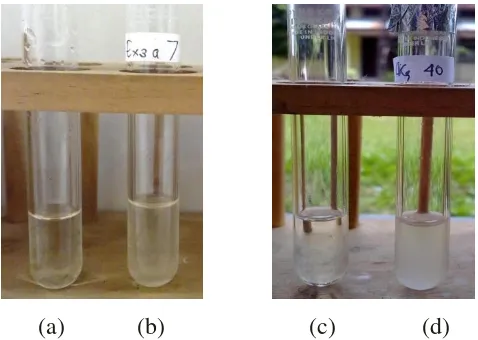 Gambar 3. Uji pertumbuhan pada suhu 4oC (kiri) dan suhu 50oC (kanan). (a & c) sebagai kontrol, (b & d) sampel (reaksi positif) 