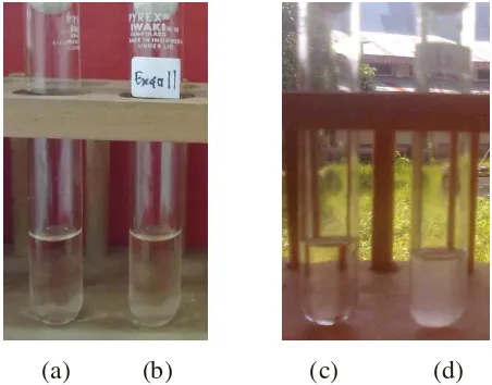 Gambar 4. Uji pertumbuhan pada pH 3 (kiri) dan pH 7 (kanan). (a & c) sebagai kontrol, (b & d) hasil positif 