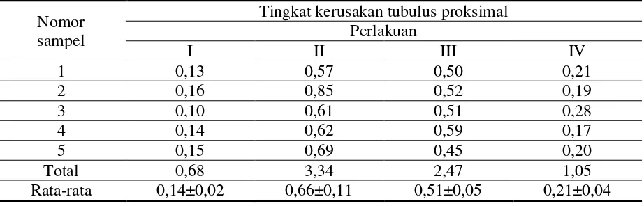 Tabel 1. Rata-rata gambaran mikroskopis kerusakan tubulus proksimal pada berbagai 