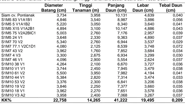 Tabel 2  Data Karakter Diameter Batang, Tinggi Tanaman, Lebar Daun, dan Tebal Daun  Diameter  Batang (cm)  Tinggi  Tanaman (m)  Panjang  Daun (cm)  Lebar  Daun (cm)  Tebal Daun (cm)  Siam cv
