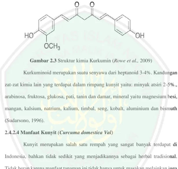 Gambar 2.3 Struktur kimia Kurkumin (Rowe et al., 2009) 