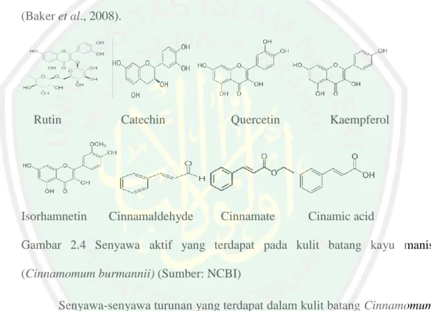 Gambar  2.4  Senyawa  aktif  yang  terdapat  pada  kulit  batang  kayu  manis  (Cinnamomum burmannii) (Sumber: NCBI) 