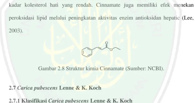 Gambar 2.7 Struktur kimia quercetin (Sumber: NCBI)  d. Cinnamate 