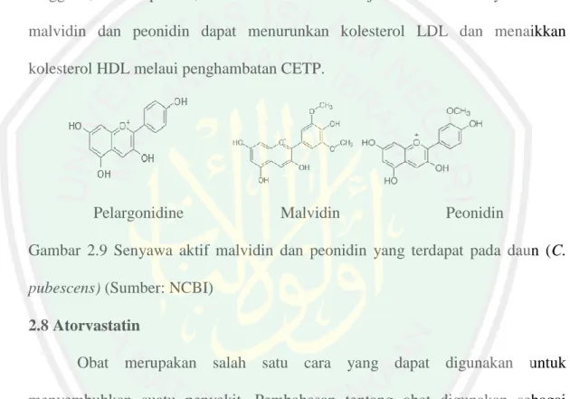 Gambar  2.9  Senyawa  aktif  malvidin  dan  peonidin  yang  terdapat  pada  daun  (C. 