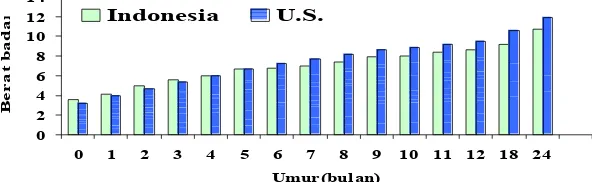 Gambar 4   Perbandingan Rata-rata Berat Badan Anak  Indonesia  dan  Anak-anak Amerika  Serikat  (Sumber  data: SUSENAS  1998,  WHO  International Growth Curves).