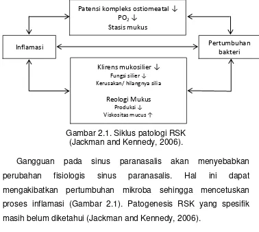 Gambar 2.1. Siklus patologi RSK  