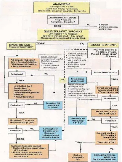 Gambar 2.2. Panduan Baku Penatalaksanaan Sinusitis  (Soetjipto dan Wardhani, 2007) 