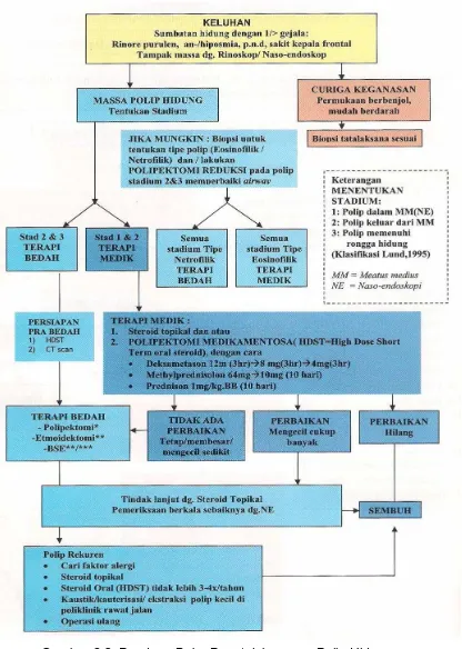 Gambar 2.3. Panduan Baku Penatalaksanaan Polip Hidung (Soetjipto dan Wardhani, 2007) 