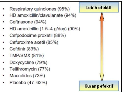 Gambar 2.4. Efektifitas antibiotik pada RSK (Cain and Lal, 2013) 