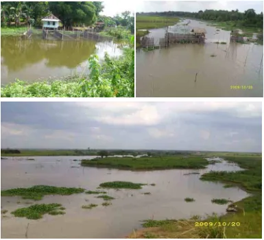 Gambar 2.6 Rawa banjiran di Kabupaten Tulang Bawang yang banyak dimanfaatkan untuk aktivitas penangkapan ikan 