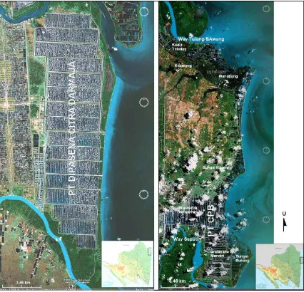 Gambar 2.1  Foto Satelit Areal Pertambakan PT DCD dan PT CPB   (Sumber: Google Earth, diakses September 2007) 