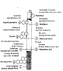 Gambar 2.3. Komponen pada batang rokok banyak yang mengandung bahan-bahan berbahaya (www.lefumeur.com/imaQe ) 