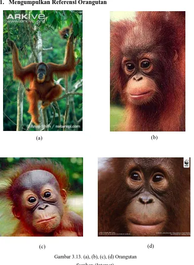 Gambar 3.13. (a), (b), (c), (d) Orangutan  