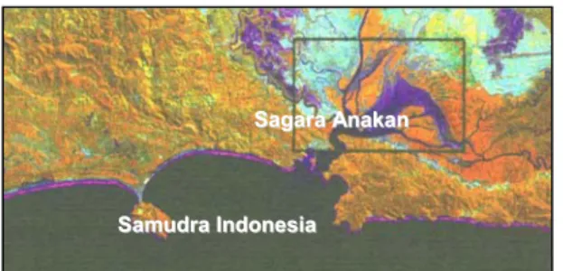 Gambar 1.  Kenampakan Laguna Sagara Anakan  dari Citra satelit (1992). 