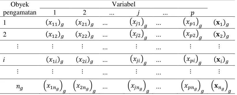 Tabel 2.1 Struktur Data Kelompok ke-  pada Model Finite Mixture 