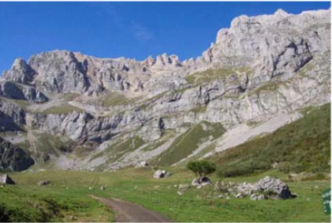 Figura 1. Vega de Llos (Picos de Europa); combinación de riscos, roqueros, matorral y pastos  subalpinos, excelente hábitat de verano para el rebeco