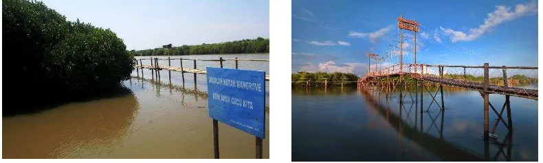 Tabel 3.1 Luas dan Kerapatan Tutupan Mangrove di Kabupaten Kulon Progo Tahun 2016 