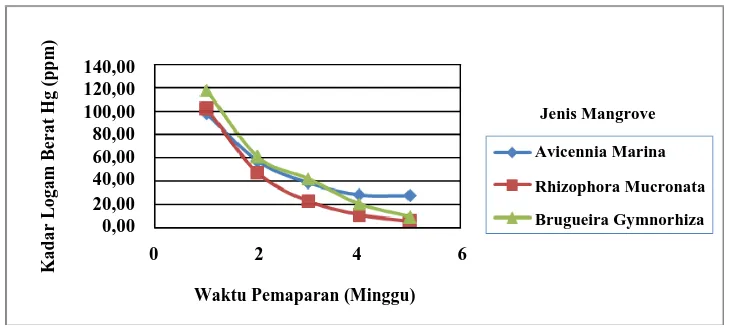 Gambar 4.1. Hubungan antara Waktu Pemaparan (Minggu) dengan Kadar Logam Berat di Media (ppm) pada Berbagai Jenis Mangrove 