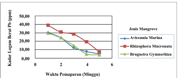 Gambar 4.2. Hubungan antara Waktu Pemaparan (Minggu) dengan Kadar Logam Berat di Media (ppm) pada Berbagai Jenis Mangrove 