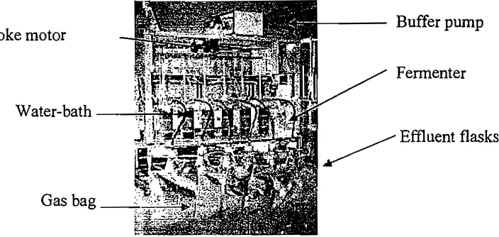 Figure I. Buffer pump Stroke motor 
