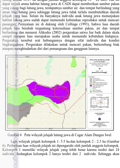 Gambar 6   Peta wilayah jelajah lutung jawa di Cagar Alam Dungus Iwul 