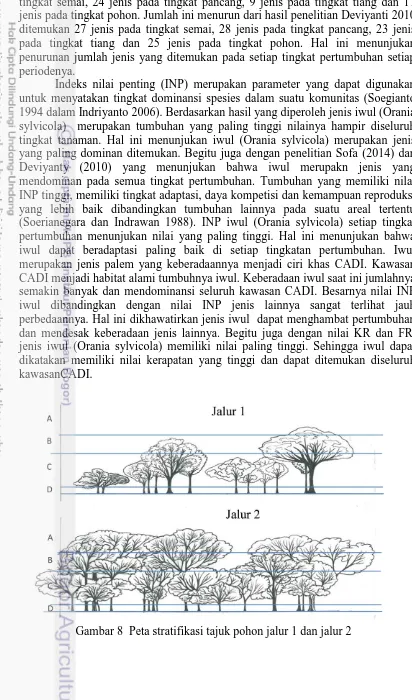 Gambar 8  Peta stratifikasi tajuk pohon jalur 1 dan jalur 2 