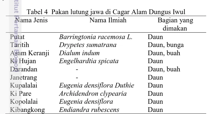 Tabel 4  Pakan lutung jawa di Cagar Alam Dungus Iwul Nama Jenis 