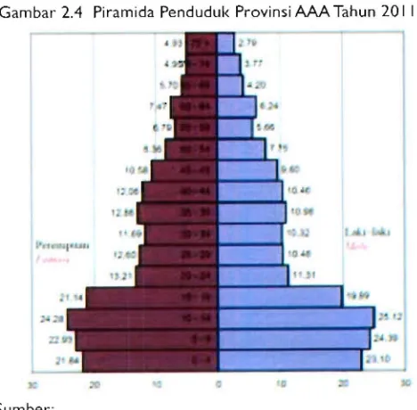 Gambar 2.4 Piramida Penduduk Provinsi AAA Tahun 20 I I 