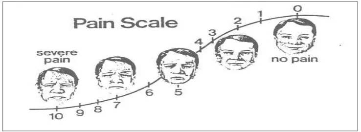 Gambar 4.Visual Analoge Scale. 