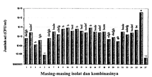 Gambar  2.  kepadatan  sel masing-masing  isolat dan  kombinasinya  pada  MMC-l00Omgl- MMC-l00Omgl-l-dibenzofuran  setelah  tujuh  hari  inkubasi