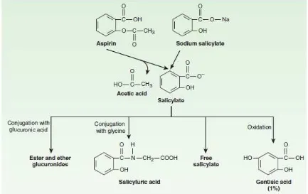 Gambar 5. Struktur Kimia dan Metabolisme Aspirin 