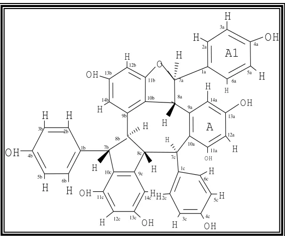 Fig. Significant HMBC Correlation of Stenophyllol B 
