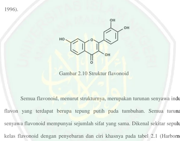Gambar 2.10 Struktur flavonoid 