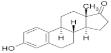 Gambar 4. Gugus kimiawi Estron (E1) 