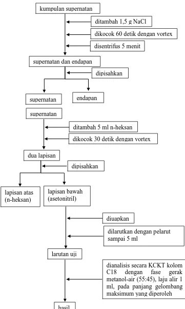 Gambar 4. Bagan penetapan kadar kloramfenikol dalam sampel 