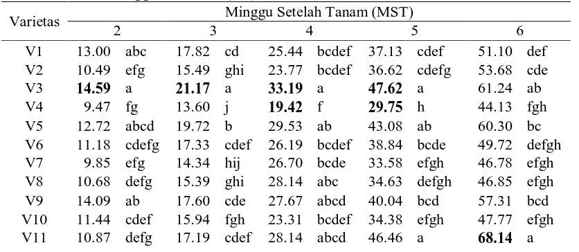 Tabel 1. Rataan Tinggi Tanaman (cm) Minggu Setelah Tanam (MST) 