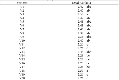 Tabel 9. Rataan Tebal Kutikula (µm) Varietas 