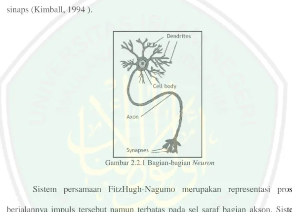 Gambar 2.2.1 Bagian-bagian Neuron 