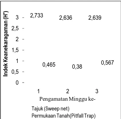 Gambar 3. Fluktuasi Indeks Kemelimpahan (N1) Arthropoda Tajuk  dan    Permukaan Tanah