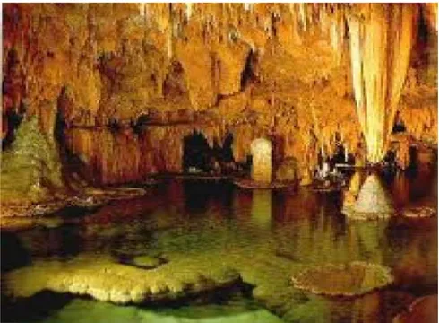 Gambar 1.2 Keindahan speleoterm gua di Kabupaten Gunungkidul yang  terancam keberadaannya oleh kegiatan penambangan 