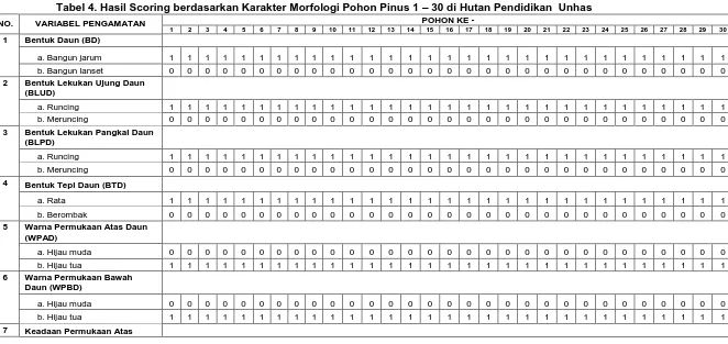 Tabel 4. Hasil Scoring berdasarkan Karakter Morfologi Pohon Pinus 1 – 30 di Hutan Pendidikan  UnhasPOHON KE - 15 16 17 