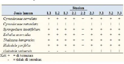 Tabel 6. Komposisi Jenis Lamun