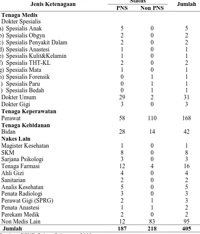 Tabel 1.1. Jumlah SDM Kesehatan di RSUD Sultan Sulaiman Tahun 2014  