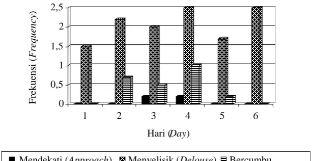 Gambar (Figure) 4. Rata-rata frekuensi perilaku kawin pada bayan sumba di Hambala (Average of mating behaviour frequency of bayan sumba bird in Hambala) 
