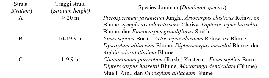 Tabel (Table) 4. Stratifikasi dan spesies-spesies dominan di setiap stratum  di Sumbergadung Jember (Stratification and dominant species in each stratum at Sumbergadung Jember)     