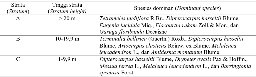 Tabel (Table) 5.  Stratifikasi dan spesies-spesies dominan di setiap stratum  di Lodadi Jember (Stratification and dominant species in each stratum at Lodadi Jember)  