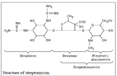 Gambar 2.2. Struktur Streptomisin 