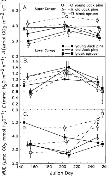 Figure 1. (A) Carbon dioxide assimilation rate (APicea marianaof 1994. Each point is the mean (), (B) transpirationrate (E) and (C) water-use efficiency (WUE) in Pinus banksiana and measured in the field at three times during the summer± SE) of approximately 24 measure-ments for the upper and lower canopy foliage, averaged across needleages.