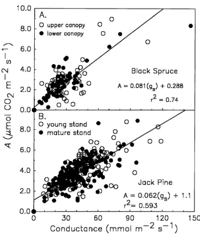 Figure 5. Relationship between foliar nitrogen content and photosyn-thetic capacity (measured during the summer of 1994